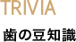 TRIVIA 歯の豆知識