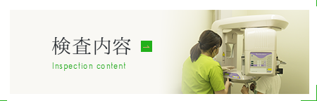 検査内容