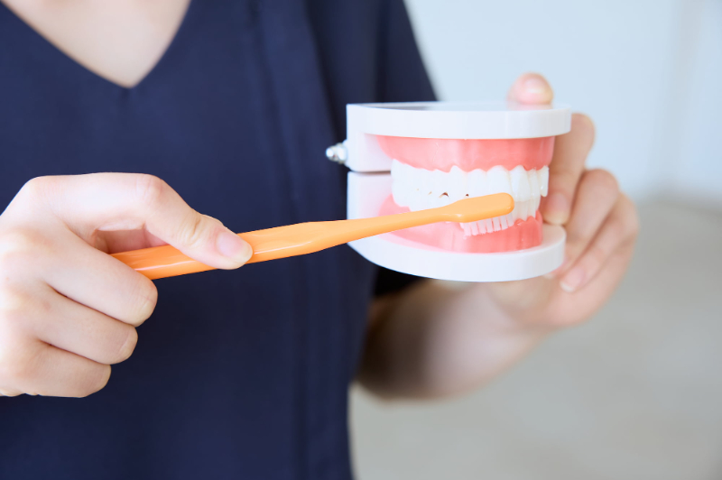 歯磨き指導について説明する歯科医