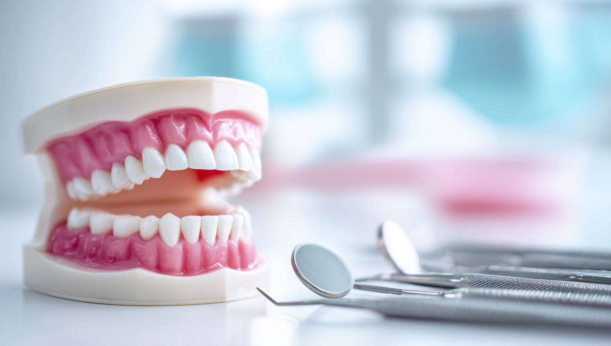 歯のクリーニングのイメージ